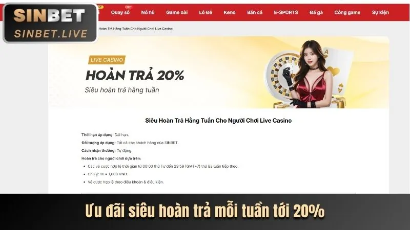 Hoàn trả hàng ngày PS99